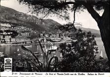 CPM Principaute de Monaco Le Port et Monte Carlo vus de Rochers Palais du Prince 
