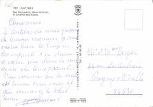 CPM Antibes Ses Remparts dans le fond le Chaine des Alpes 