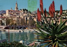 CPM Cote d'Azur Menton Le Port et la Vieille Ville 