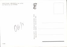 CPM Cote d'Azur Provence et ses vieilles reus fleuries Le vieil Antibes 