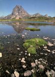 CPM Pyrenees Pic du Midi d'Ossau et lac d'Ayous 