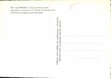 CPM Les Pyrenees L'Aigle quittant son aire pour partir en chasse ou il se montre l'un des plus forts