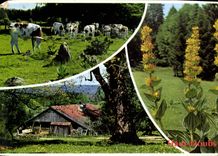 CPM Images de Franche Comte Besancon Doubs Aspects de Haut Doubs A proximite des vieilles fermes a T