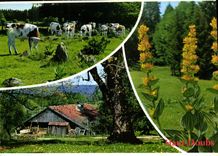 CPM Aspects du Haut Doubs A proximite des vieilles fermes a Thues 