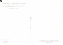 CPM Couleurs et Lumiere de France La Cote d'Azur miracle de la nature Les Colombes blanches de Saint