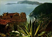 CPM Couleurs et Lumiere de France La Cote d'Azur miracle de la nature Eze Alpes Maritimes Du jardin 