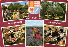 CPM Les Sites Merveilles de la Cote d'Azur Une bataille de fluers 