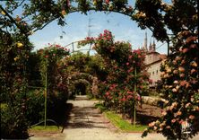 CPM La Cote d'Azur Nice Le Jardin du Monastere de Cimiez 