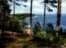 CPM Bassin d'Arcachon Vue sur la Pointe aux chevaux Piquey Plage 