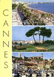 CPM Cannes Souvenir de Cannes 