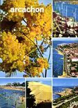 CPM Couleurs et Lumiere de France Bassin d'Arcachon Gironde 