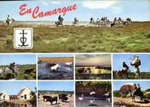 CPM Camargue 
