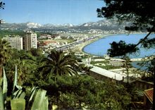 CPM Marseille Promenade de la corniche a travers les Pins vue generale de la Plage 
