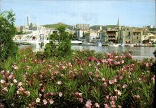 CPM Reflets de Provence Martigues B du R le Quai Kleber Paysage de Fleurs d'eau et de soleil 