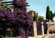 CPM Cote d'Azur Pittoresque 