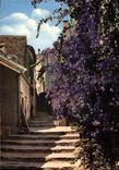 CPM La Cote d'Azur Bormes les Mimosas Var Escalier Fleuri 