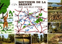 CPM Souvenir de la Brenne Pays aux Mille Etangs Chasse