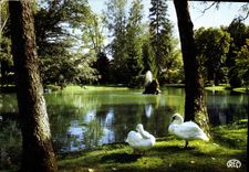 CPM Chateauroux Indre le Lac du Jardin public 