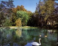 CPM Chateauroux Indre le Lac du Jardin public 