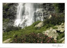 CPM Images de Chez Nous Fraicheur d'ete 