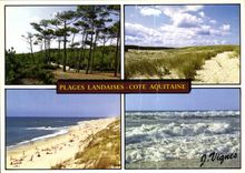 CPM Visage des Landes Vacances Paisibles et Douceur oceane sur la Cote d'Aquitaine 