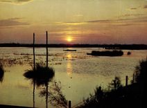 CPM Coucher de Soleil sur la Camargue 