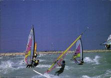 CPM La Cote d'Azur dans le Vent le paradis de la Planche a voile Saint Lurent du Var 
