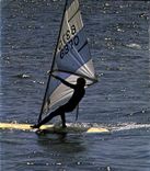 CPM Lumiere et Beaute de la Cote d'Azur Windsurfers en Mediterranee 