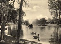 CPM Chateauroux Indre le Lac du Jardin public 