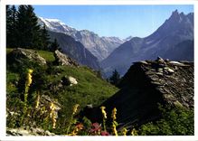 CPM Soleil et Montagne 