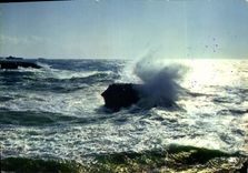 CPM L'Une apres l'autre avec de Furieux elans les lames glouques sous leur criniere d'ecume dans un 