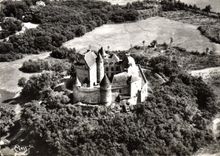 CPM Rosnay Indre vue aerienne Chateau du Bouchet en Brenne 