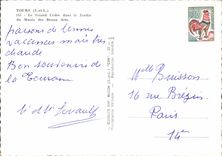 CPM Tours I et L le Grand cedre dans le Jardin du Musee des Beaux Arts 