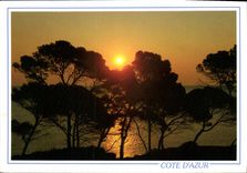 CPM La cote d'Azur Coucher de Soleil en mediterranee 