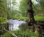 CPM Nos Beaux Paysages de France Photo J J Dubray 