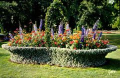 CPM Merveilles du Val de loire Tours I et L Jardin Botanique Le Panier fleuri 