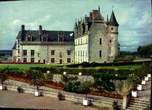 CPM Couleurs et lumiere de France Val de Loire Chateau d'Amboise Indre et Loire 