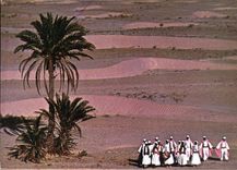 CPM Tunisie danse folklorique dans le desert 