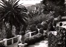 CPM La Cite des Fleurs Grasse A M vue prise du Jardin du Parc Palace 