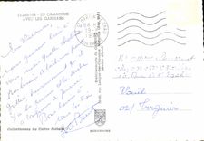 CPM En Camargue avec les Gardians 