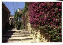 CPM Vieille rue fleurie