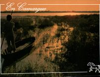 CPM En Camargue l'Etang de Vaccares 