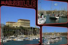 CPM Marseille Le Port et le Palais du Pharo 