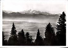 CPM Le Mont Blanc et la Plaine vus du Chasseron 