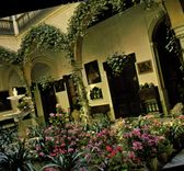 CPM Sevilla cour sevillan 