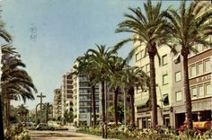 CPM Alicante Promenade du Dr Ordes et Croix des Heros tombes 