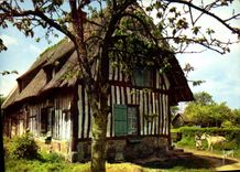CPM Couleurs et Lumiere de France la luxurianre Normandie Chaumieres Normandes 