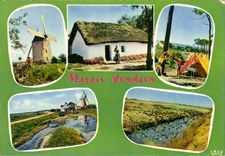 CPM Marais Vendeens Moulin de Sainte Catherine une bourrine un camping un coin du marais L'elevage d