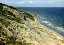 CPM Houlgate Villers sur Mer Calvados les vaches noires 