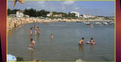 CPM La Vendee Touristique Jard sur Mer 